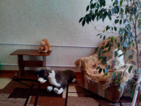 Guest house on Kalinina